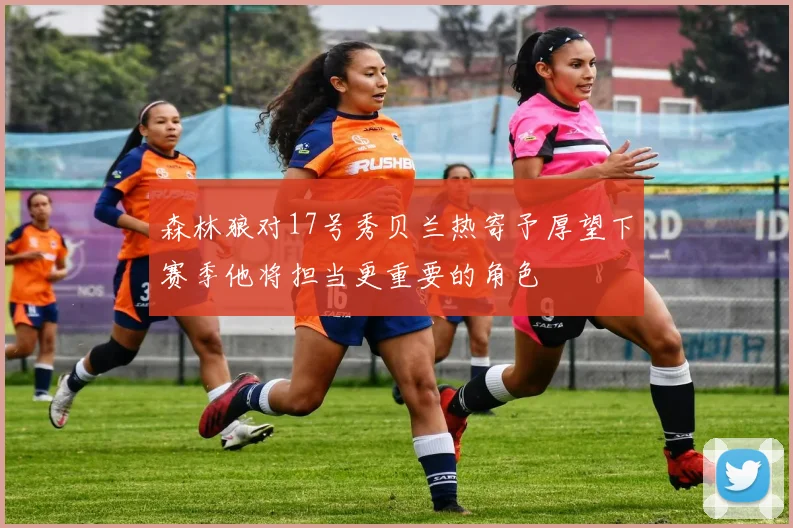 森林狼对17号秀贝兰热寄予厚望下赛季他将担当更重要的角色