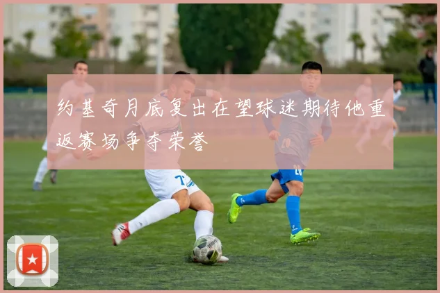约基奇月底复出在望球迷期待他重返赛场争夺荣誉